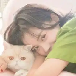 抱着猫咪的女生可爱头像大全2018动了真心怎能说忘就忘