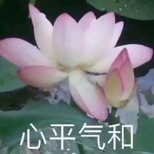 佛系高雅微信头像田