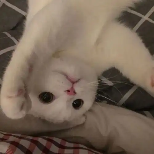 这波调皮可爱的头像送给你,请查收