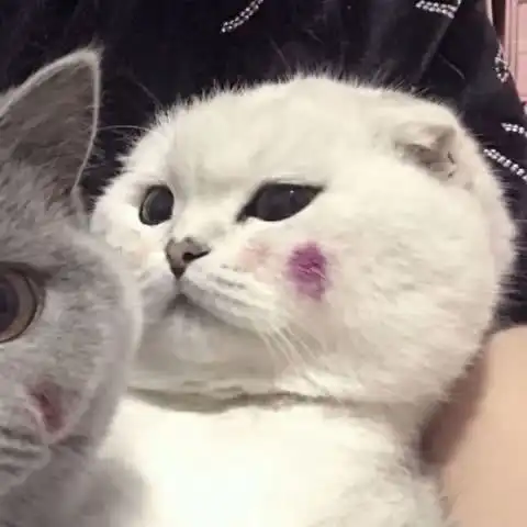 还在和小号用情侣头像百搭情头最近很火,海王必备