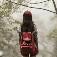 好看的桃花微信头像图片大全