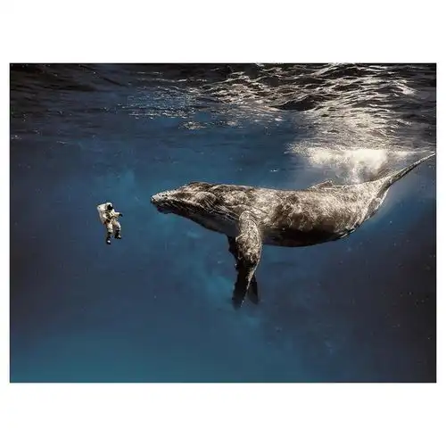 少年的征途应是星辰大海,而非人间烟尘知乎