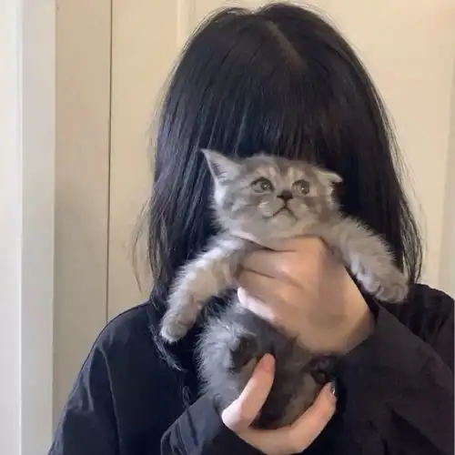 冷淡头像丨如果我想要,我就一定能