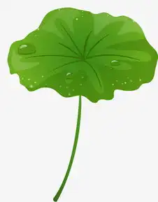 荷叶插图矢量图素材图片免费下载高清卡通手绘psd千库网图片编号6999089
