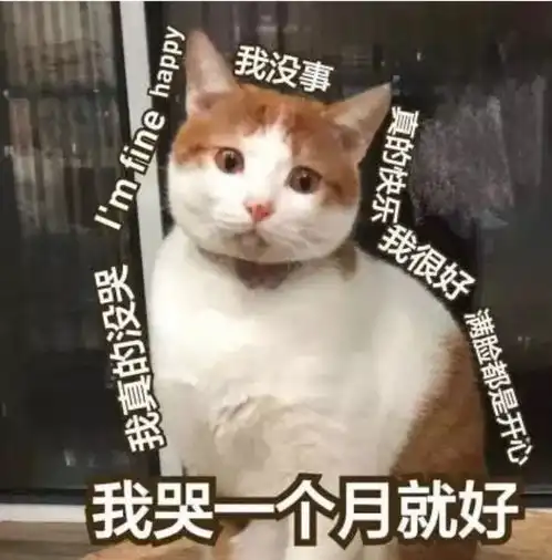 我觉得男友性格沉默寡言,相处不太舒服,有时怀疑他爱不爱我,还该继续吗