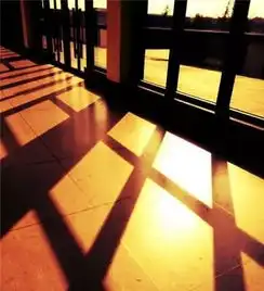 咨询会走出门去,赴一场初冬的佳宴