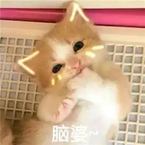 李姐笑话妈妈,你爱我还是爱爸爸