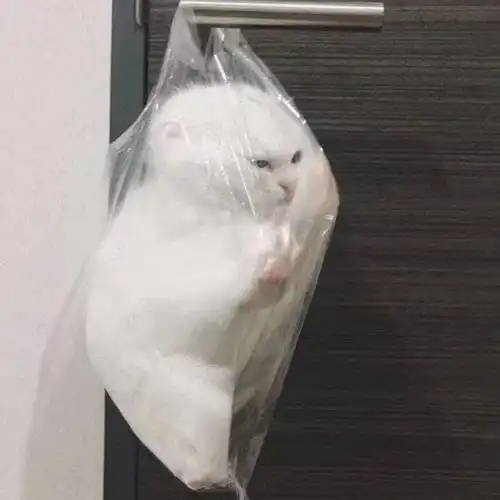 关于长相思的疑问与思考