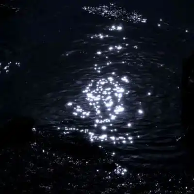 陈情丧系背景图我一直爱你不需风景静物头像我要个性网