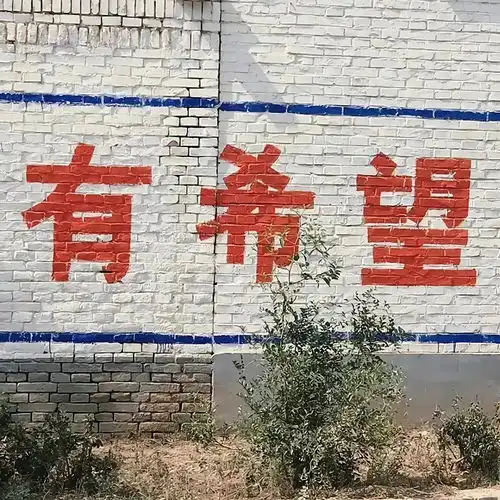 2021.11.24今日主推qq头像,微信头像