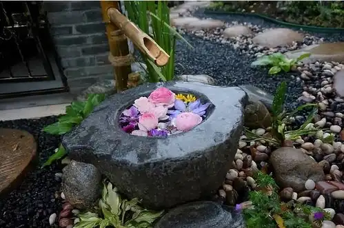 废弃小院摇身一变成治愈系花园