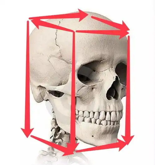 用这种头骨分析法去画头像你会发现画头像简直易如反掌