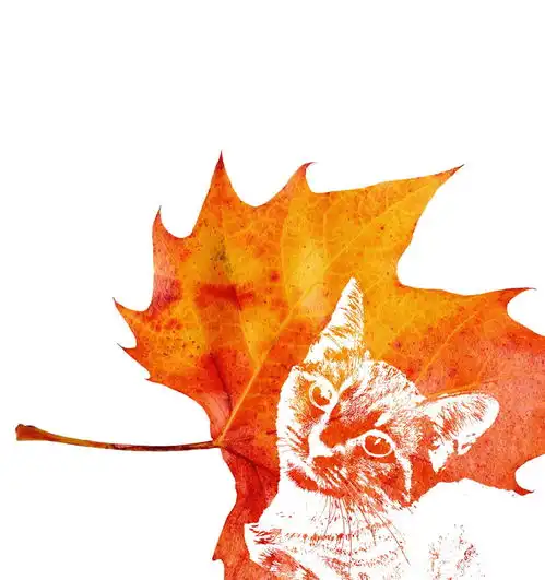 ps教程制作枫叶剪影头像