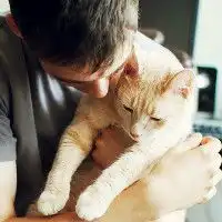 猫和兔子的卡通情侣头像微信头像图片大全