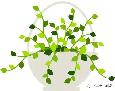 家庭治疗反馈如窗观览系统,你有几扇