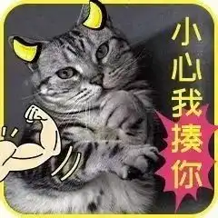 没成为中国锦鲤没关系,这波表情包来安慰你