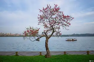 一份风光街头摄影不完全总结,这是我的2017