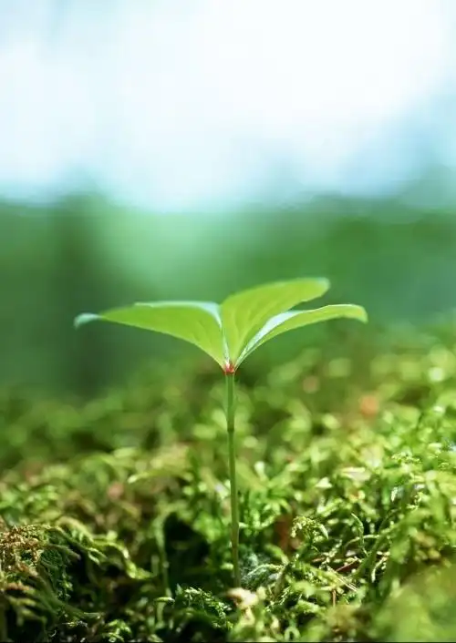 简单干净的句子,充满阳光和正能量,适合发朋友圈哦