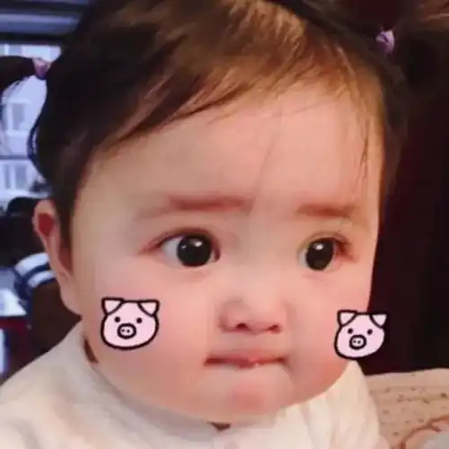 萌系头像和一个心爱的人,养一条狗养一只猫