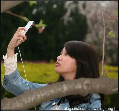 樱花季节,武大校园美女扎堆图
