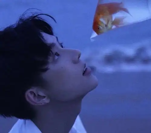 情头温柔系我只有七秒钟的记忆,却能记住你腾讯新闻