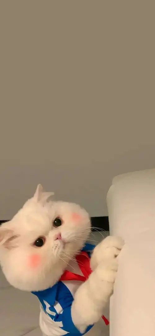 治愈系蓝色风格壁纸人物