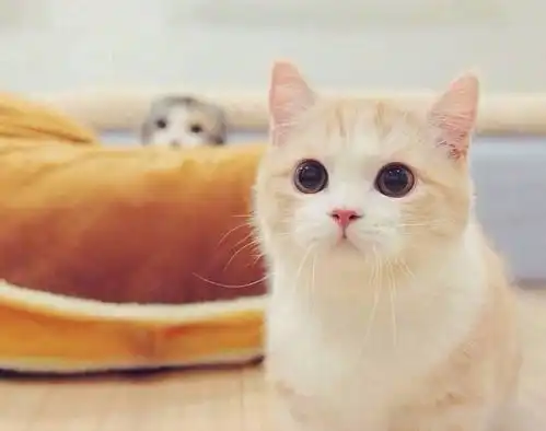 最流行的幽默风趣笑话,个个奇趣横生