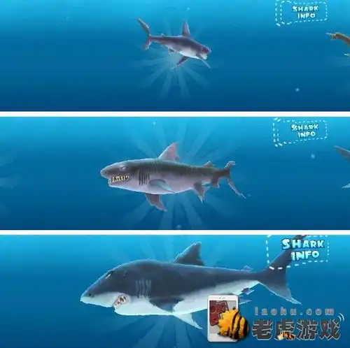 饥饿的鲨鱼评测来自大洋深处的霸主