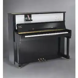 郎朗明日之星钢琴