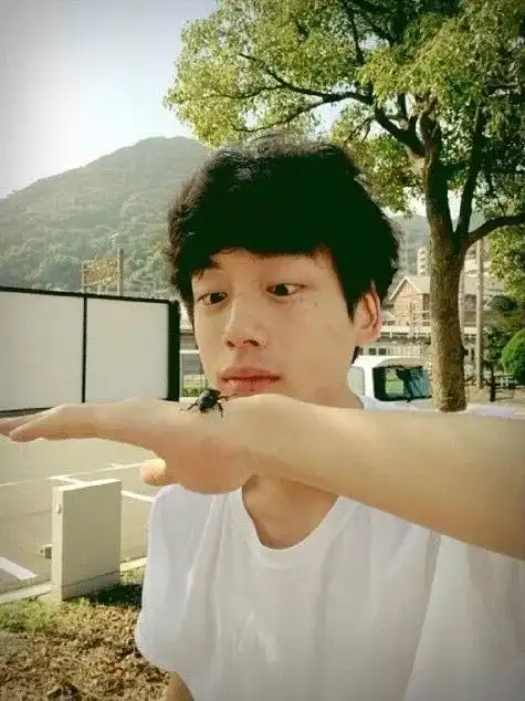 全日本的初恋脸小哥哥都在这里,看到他们就能瞬间颅内高潮