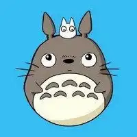 可爱卡通龙猫微信头像微信头像图片大全