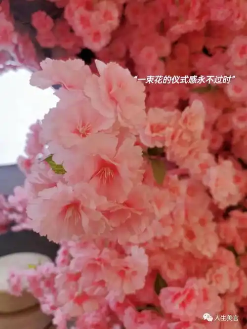 很暖很治愈的短句子,干干净净的治愈系文案