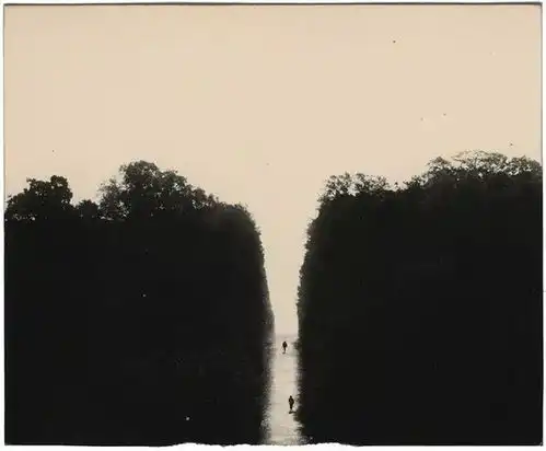 山本昌南褪却浮华,安静入心