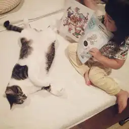 绝对治愈系照片孩子与猫咪的日常生活