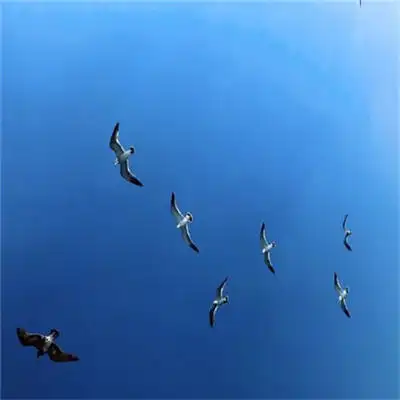 微信头像图片风景系列好山好水好风景