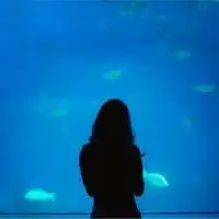 情侣头像不露头蓝色系微信头像图片大全