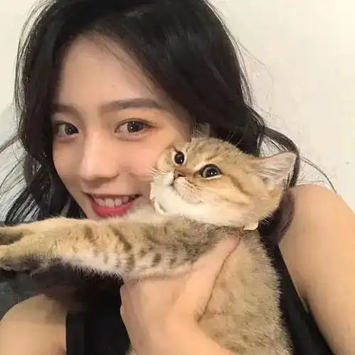 韩系高冷带猫女生头像可