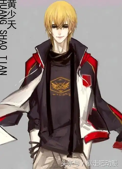 全职高手当职业选手穿上赛服,张佳乐忧郁,喻文州腹黑