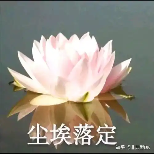 有哪些中老年女性适合的头像