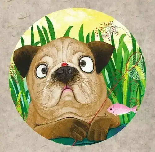 偏财运大好,财运一路猛涨的三大生肖搜狐星座搜狐网