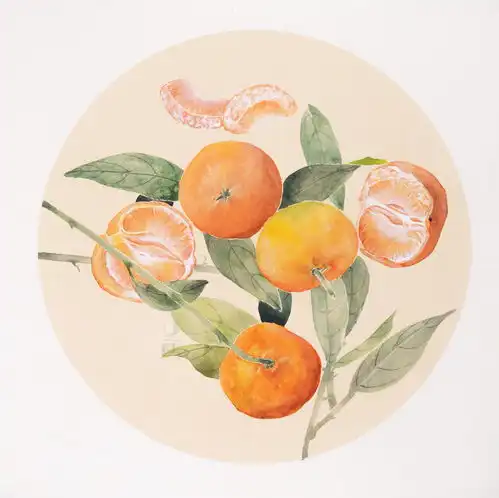 国画教程没骨橘子