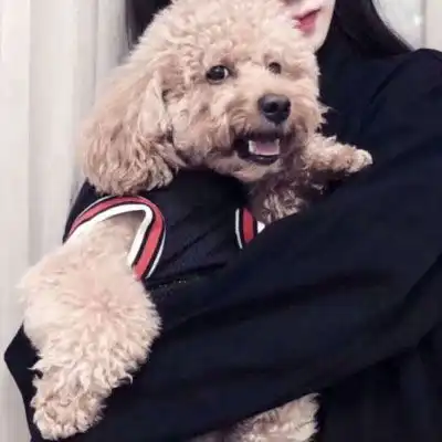 男友不是人动漫情头系列男友不是人系列抱宠情头