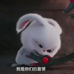 爱宠大机密丽颖微博头像小兔子各种照,这些剧情记得真爱粉么