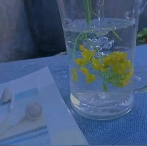 关于的小众私藏文案