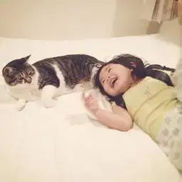 绝对治愈系照片孩子与猫咪的日常生活