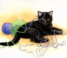 猫猫0214p