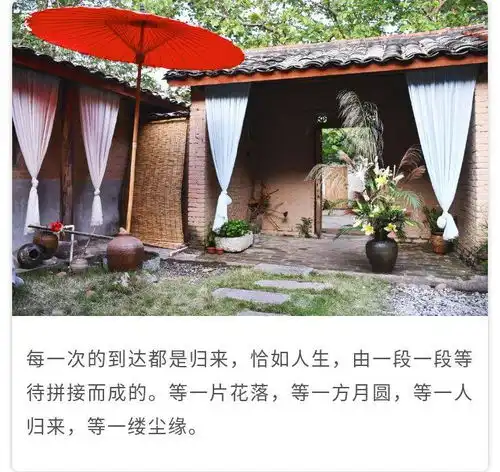 钦州治愈系小院,深居城市皆可诗与远方