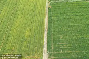 江苏淮安五月麦田美如画