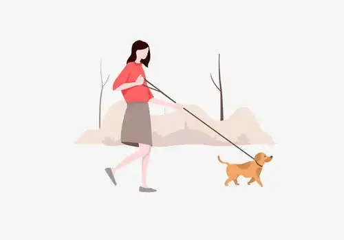 卡通遛狗的女人插画免抠png设计图片免费下载页面网页平面电商创意素材散步素材
