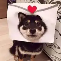 黑柴犬头像可爱